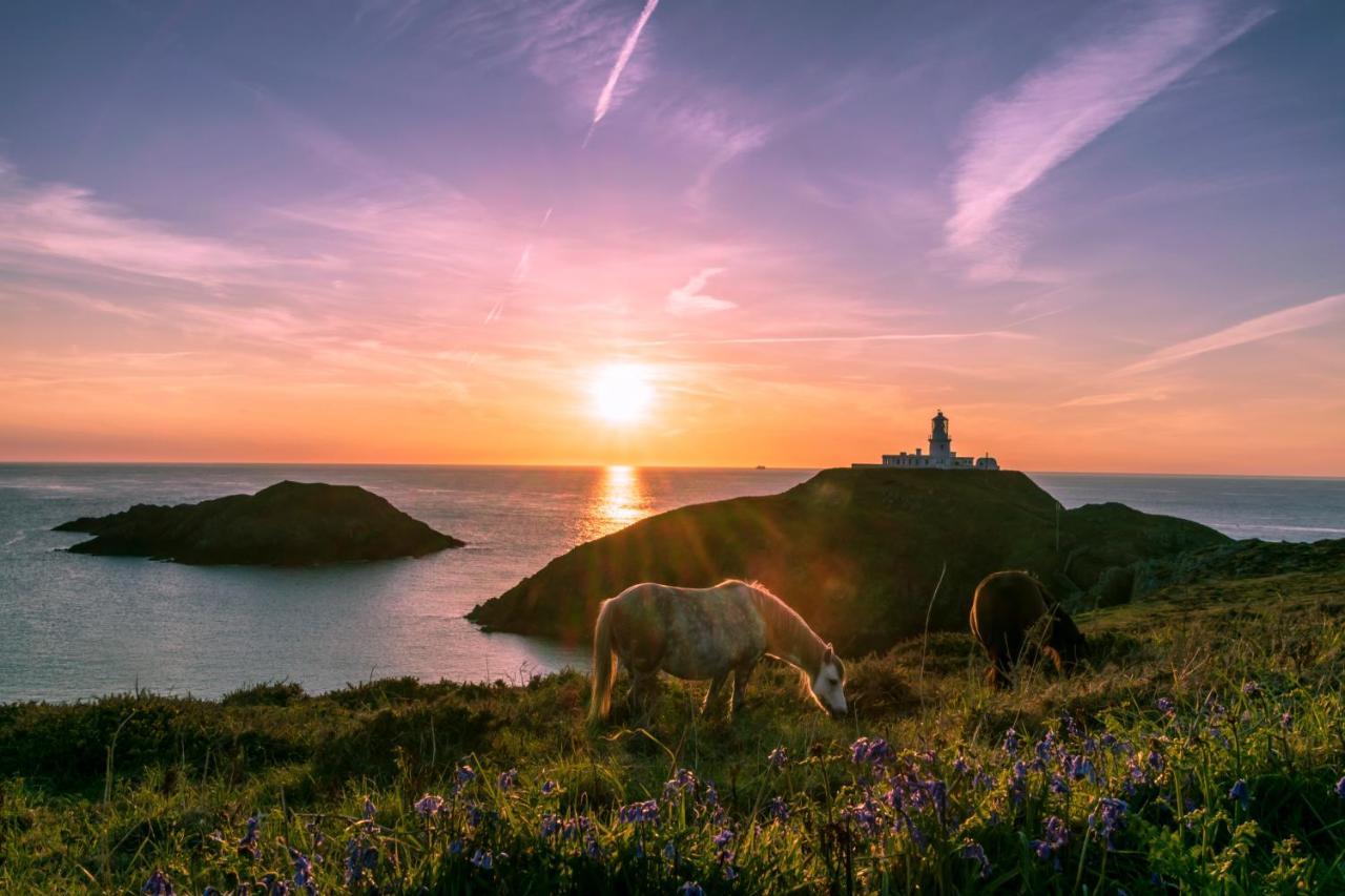 Carreg Yr Onnen Villa ฮาเวอร์ฟอร์ดเวสต์ ภายนอก รูปภาพ